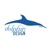 Dolphin Design Logotype