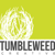 TUMBLEWEED CREATIVE Logotype