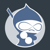 Drupal Ninja Logotype