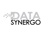 Data Synergo Sdn Bhd Logotype