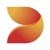 DS Smith Logotype