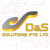 D&S Solutions Pte Ltd Logotype
