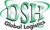 DSH Global Logistics Logotype