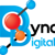 Dynametrix Digital Logotype