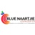 Blue Naartjie Concepts Logotype