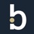 Bridgepoint Investment Banking Logotype