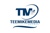 Teemikemedia Agency Logotype