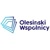 Olesiński & Wspólnicy Logotype
