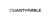 Quantyfiable Consulting Logotype