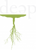Disruptive Equity Education Project Logotype