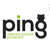 Ping Chartered Accountants Logotype