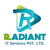 Radiant IT Services Pvt Ltd Logotype