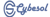 Cybesol - Digital Marketing Agency Pakistan Logotype
