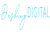 Dashing Digital Logotype