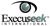Execuseek International Logotype