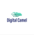 Digital Camel Logotype