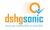 DSHG Sonic Logotype