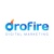 Drofire Logotype