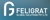 Feligrat Global Solutions Pvt. Ltd. Logotype