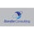 BAMFER Consulting LLC Logotype