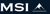 MSI Management and Consulting Inc. Logotype