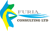 FURIA CONSULTING LTD Logotype