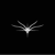 veyoune marketing agency Logotype