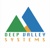Deep Valley Systems Pvt. Ltd. Logotype