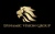 Dynamic Vision Group Logotype