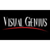 Visual Genius Design & Marketing Logotype