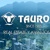 Tauro Asesores Inmobiliarios, S.A DE C.V. Logotype