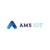 AMS-IoT Logotype