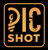 PicShot Studio LLC Logotype