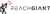 ReachGiant Logotype
