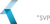 Kreston SVP Logotype