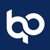 Binary Professionals Logotype