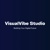 VisualVibe Studio Logotype