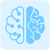 Brainwire Solutions Logotype
