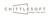 Chittlesoft Solutions Pvt. Ltd. Logotype