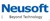 Neusoft Cloud Technology Co,.Ltd Logotype