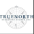 Truenorth Executive Search Logotype