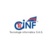 Tecinf Logotype