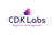 CDK Labs Inc. Logotype