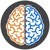 Braintrust Interactive Logotype