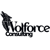 Wolforce Consulting Logotype