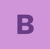 Best & Company CPA's Logotype