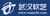 Wuhan Ruanyi Information Technology Co., Ltd. Logotype
