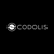 Codolis B.V. Logotype