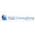 The Plan Consulting Group Logotype