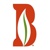 Bailey Land Group Logotype